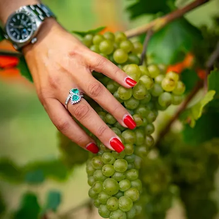 Wine & Ginger - Luxury X8 * Monticelli Brusati