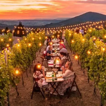 Villa Wine & Ginger - Luxury X8 Monticelli Brusati